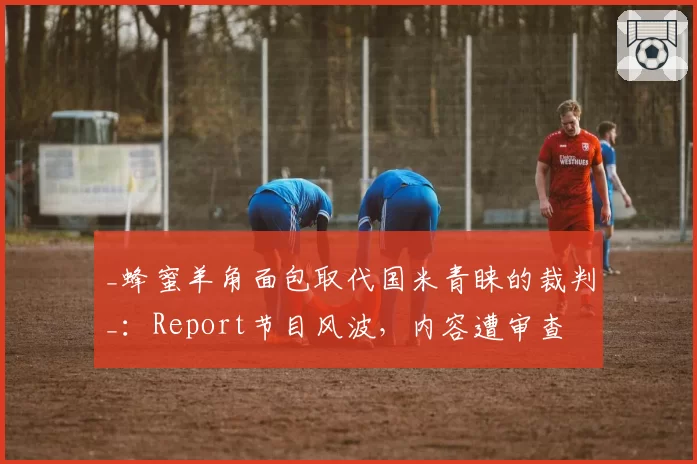 _蜂蜜羊角面包取代国米青睐的裁判_：Report节目风波，内容遭审查