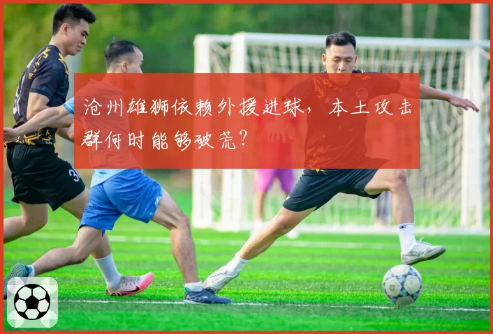 沧州雄狮依赖外援进球,本土攻击群何时能够破荒?
